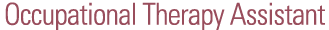 Bachelor of Science in Accounting