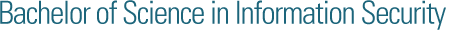 Bachelor of Science in Information Technology
